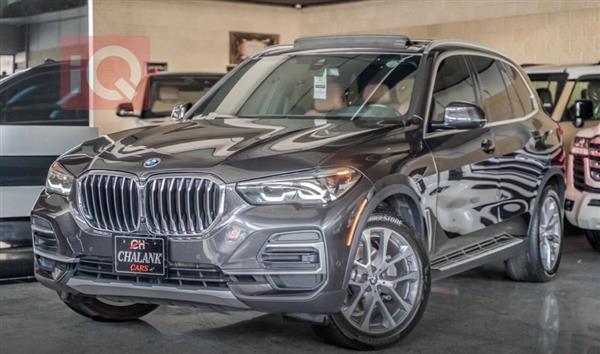 BMW X5 2023 for sale in Iraq - Duhok